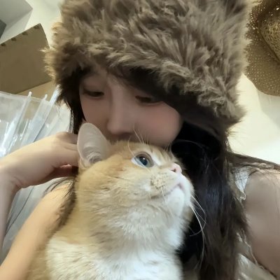 屋中异蛛